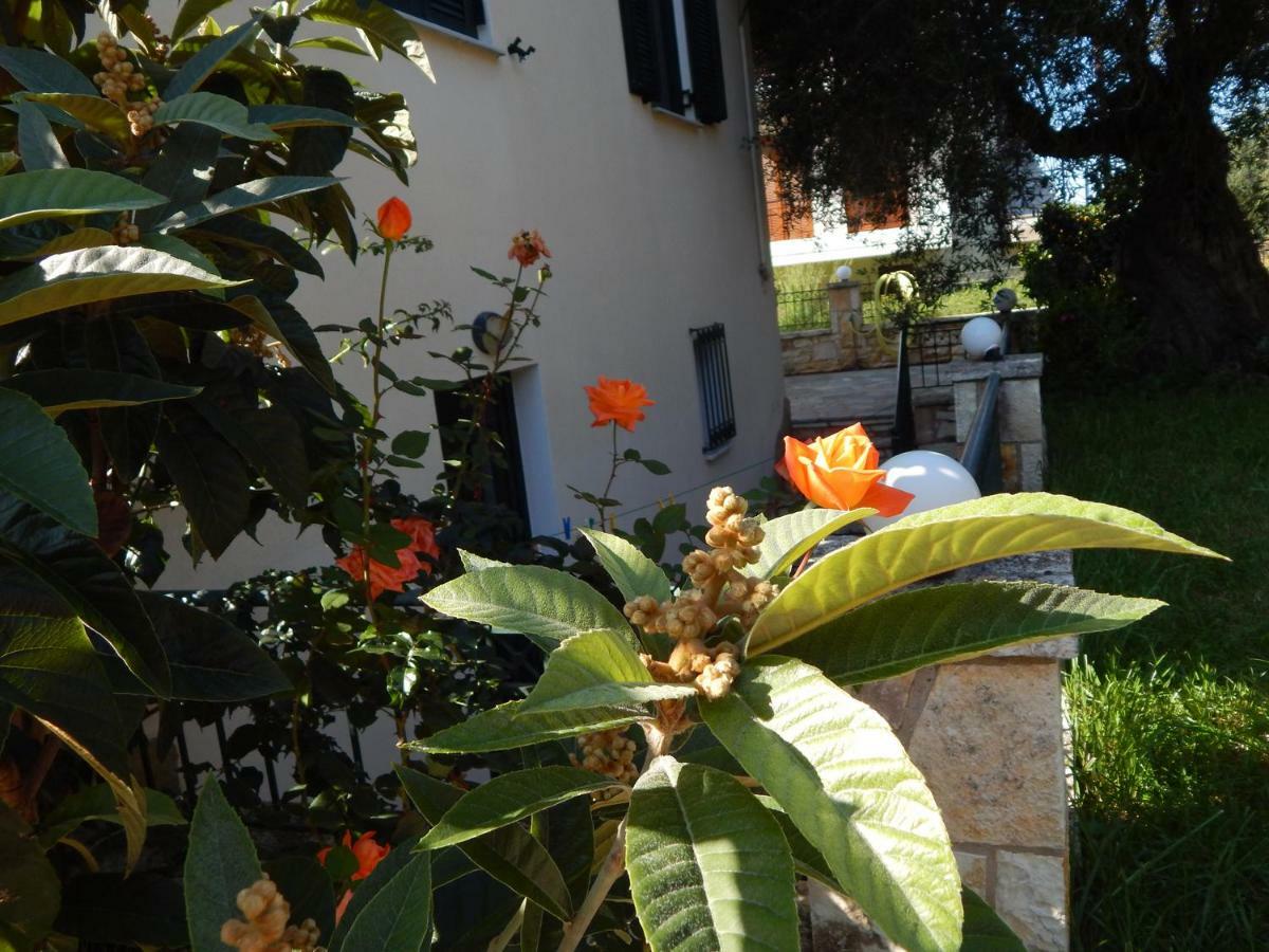 סיבוטה Villa Dimitra מראה חיצוני תמונה